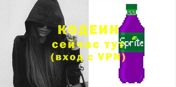 индика Протвино