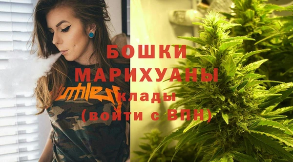 PSILOCYBIN Алзамай
