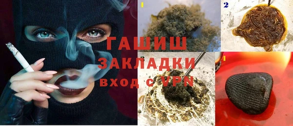 PSILOCYBIN Алзамай