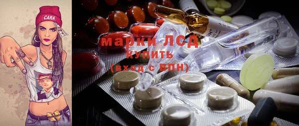 PSILOCYBIN Алзамай