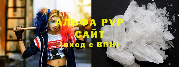 гидра Алексеевка
