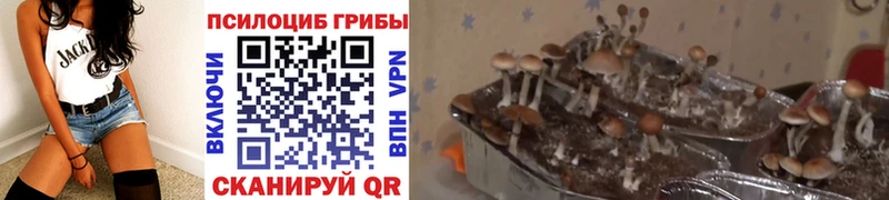 Галлюциногенные грибы прущие грибы  цены наркотик  Балабаново 